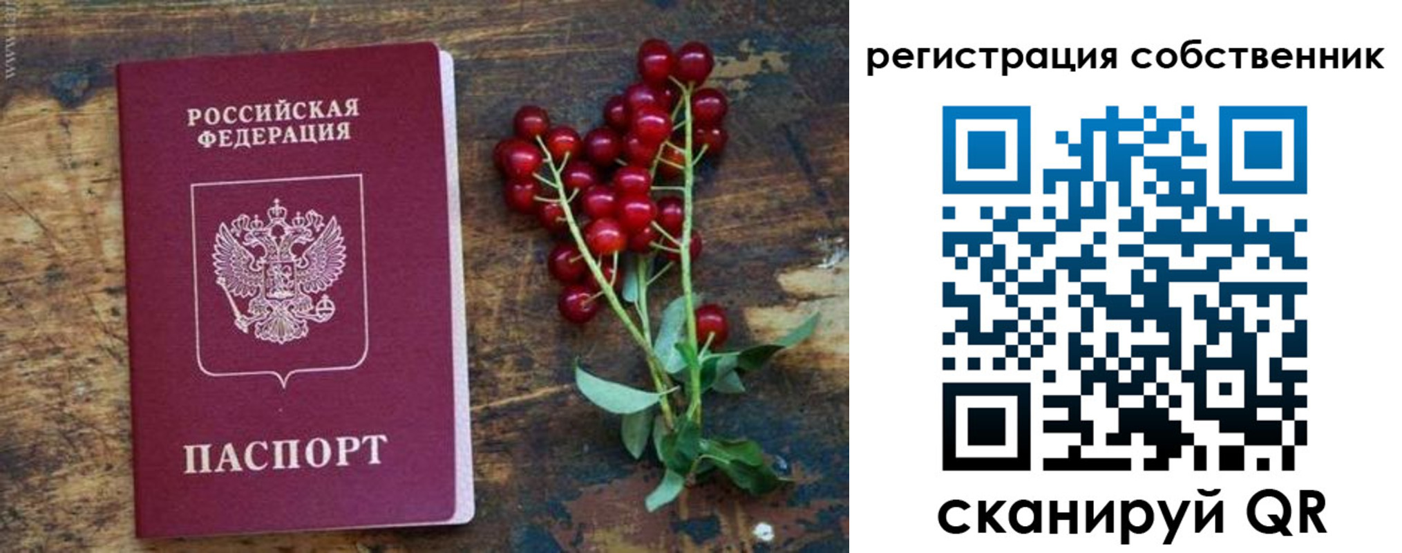 регистрация для дет. сада в Артёме